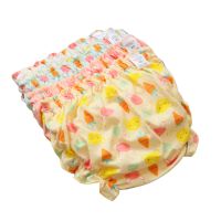 Baby Girls 4 Pack Bloomer Shorts Ruffle Newborn Toddler Diaper Covers Briefs - Cute Carrot